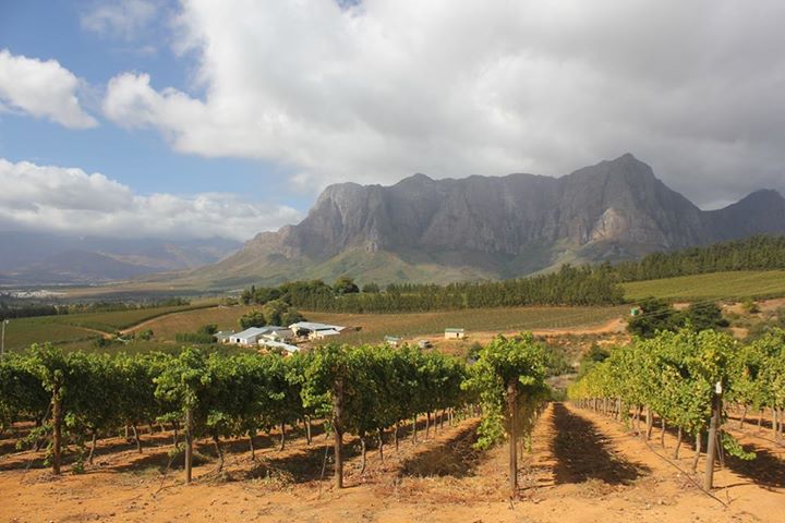 11209657_10152723867015974_2789336363044924904_n